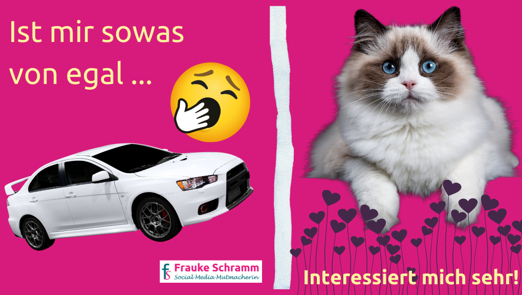 Frauke Schramm Social Media Mutmacherin Newsfeed Auto Katze
